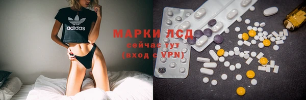 прущие грибы Карталы