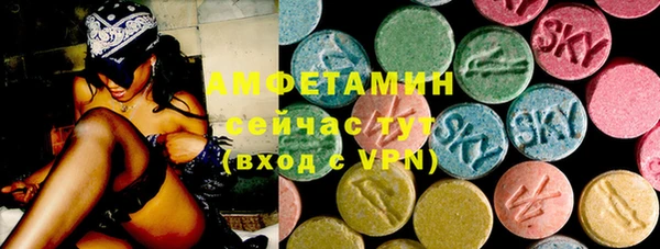 PSILOCYBIN Алзамай