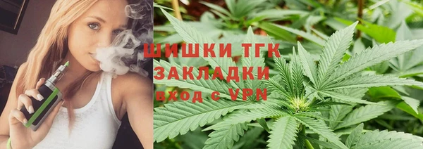 PSILOCYBIN Алзамай