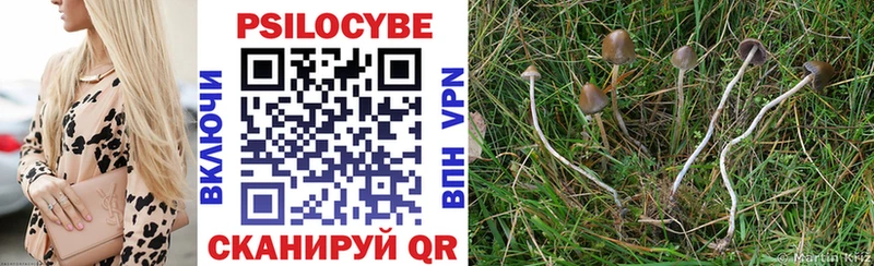 Псилоцибиновые грибы Psilocybe  Осинники 